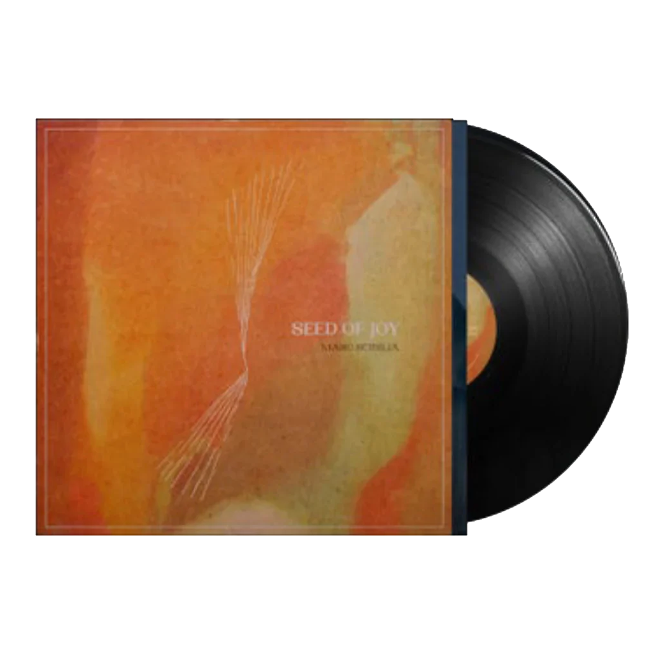 Seed of Joy Vinyl